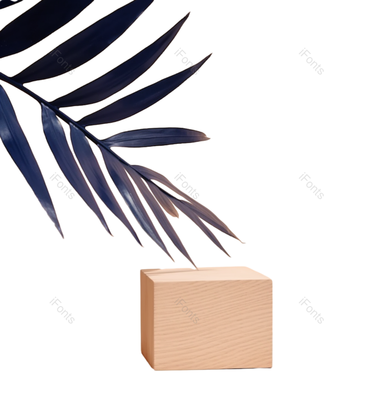 叶子图片,装饰元素,形状PNG,现代免抠素材